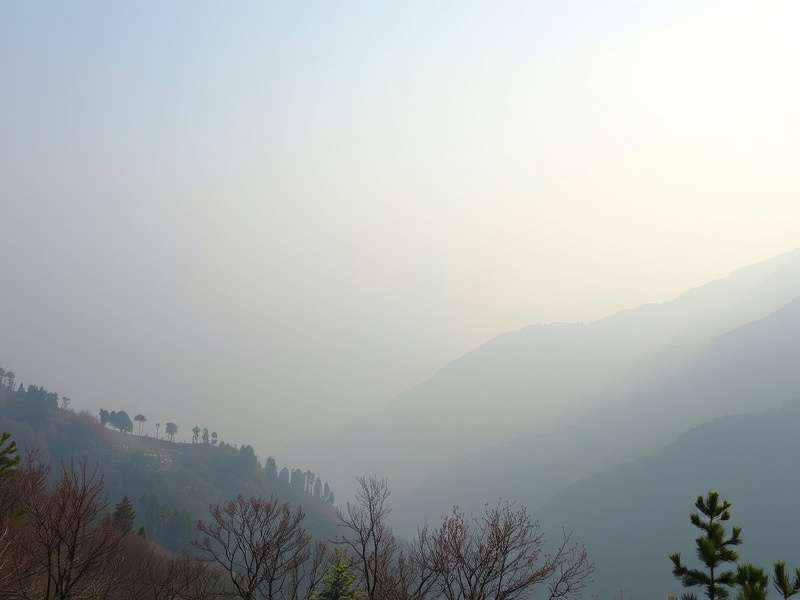 发动机系统零部件